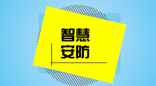 海外安防市场DIY：民用市场增速超30%